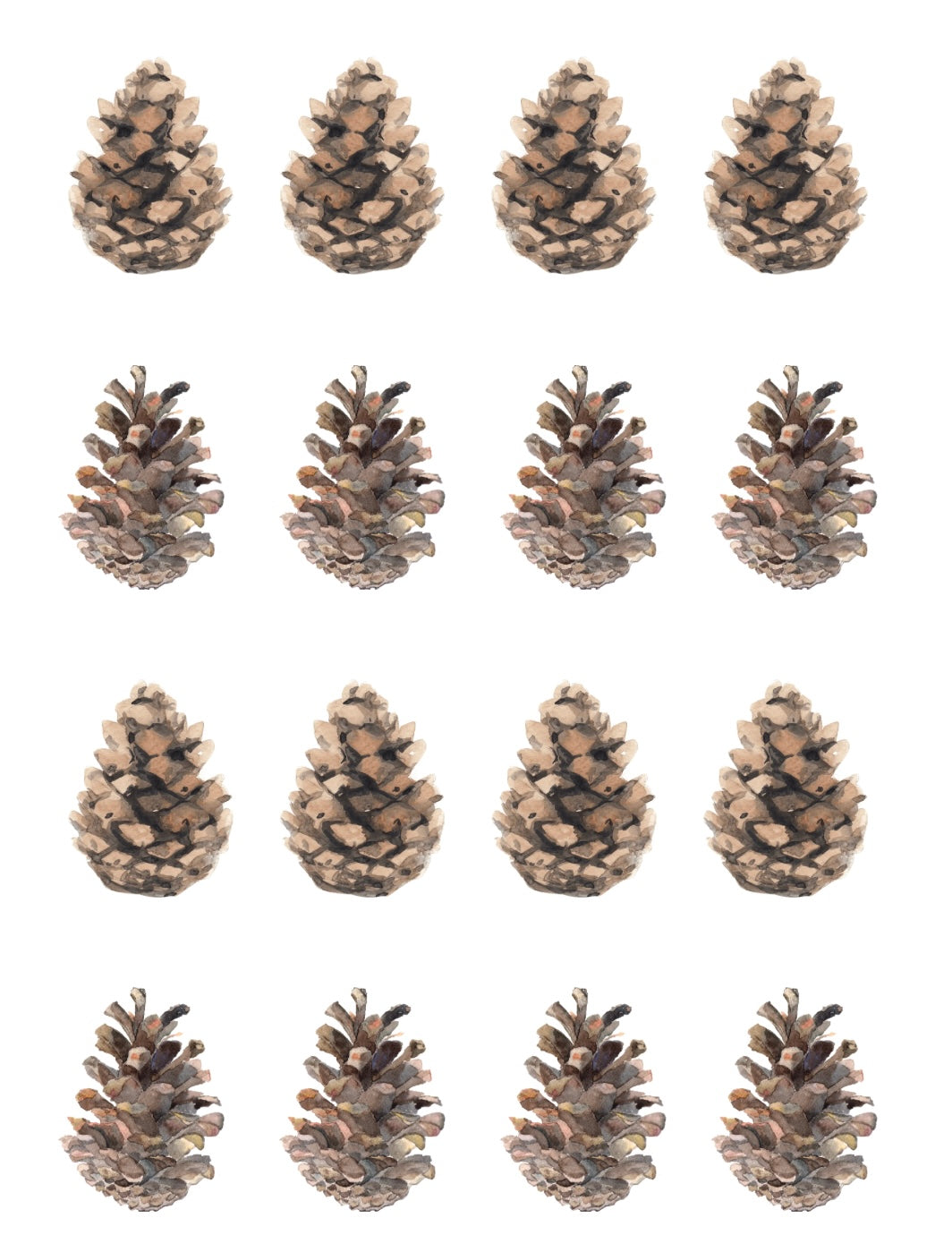 Pinecones | Transfer Sheet - 21