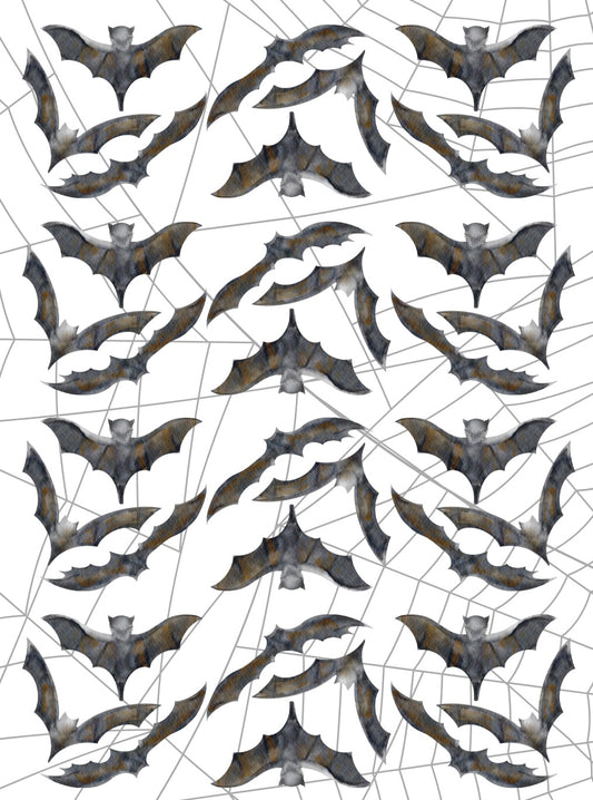 Let’s Get Batty | Transfer Sheet - 55