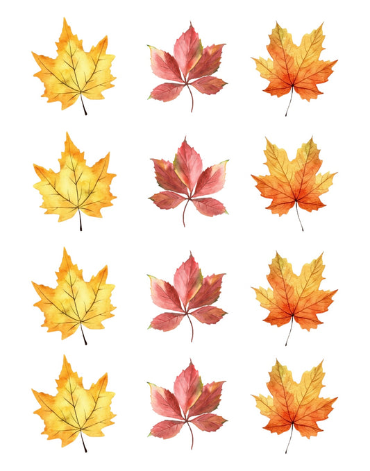 Autumn Leaves | Transfer Sheet - 22 & 23