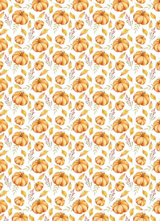 Harvest Background | Transfer Sheet - 17