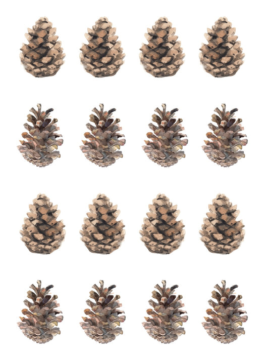 Pinecones | Transfer Sheet - 21
