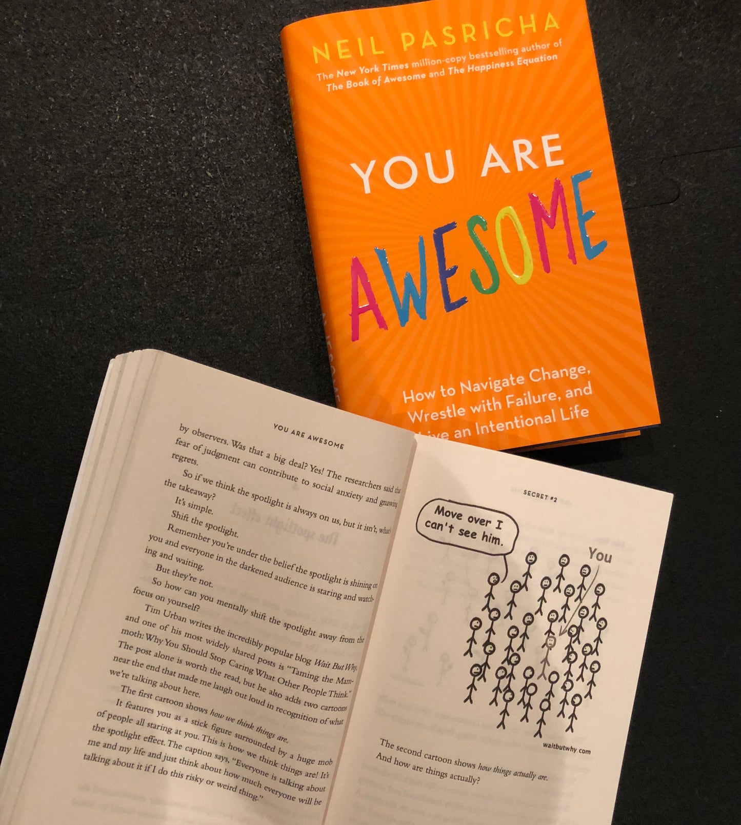 You are Awesome by Neil Pasricha | Self Care and Mental Health Resources